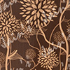 Aster Pine (014)